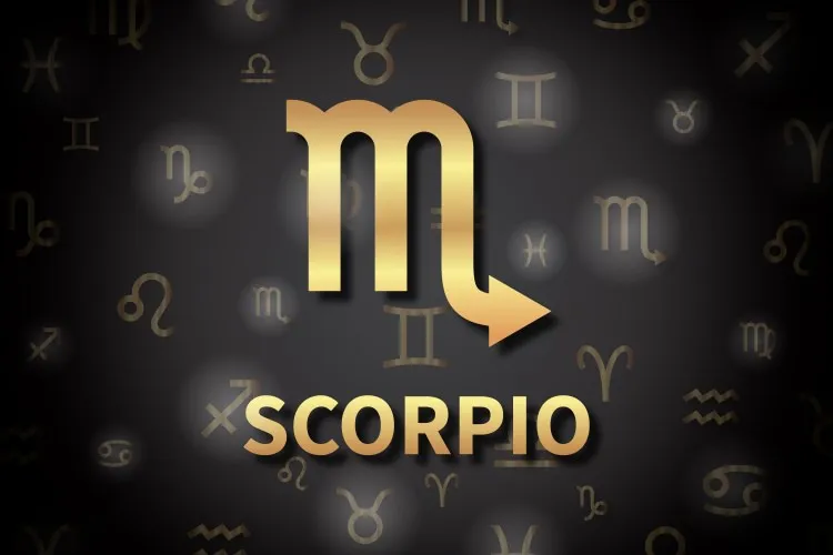 image 6 Astrologer Shree Somok - Best Astrologer in Kolkata India image 6 Astrologer Shree Somok - Best Astrologer in Kolkata India