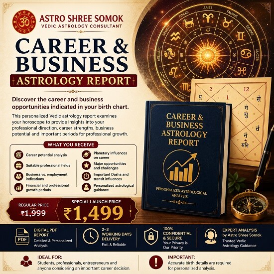 Career & Business Astrology Report